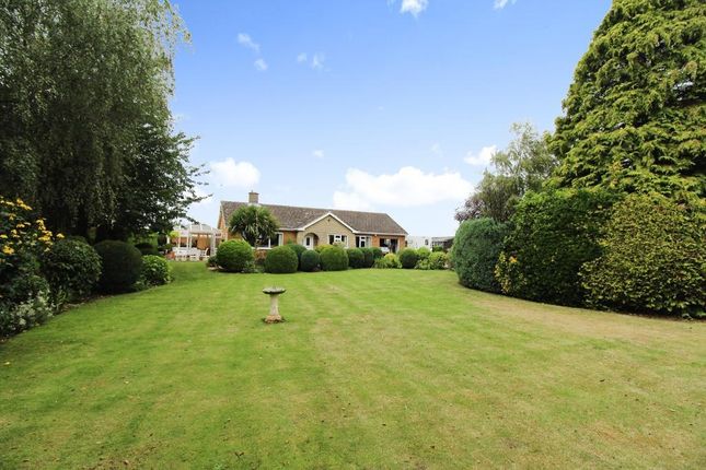 Detached bungalow for sale in Millgate, Whaplode St Catherine, Spalding