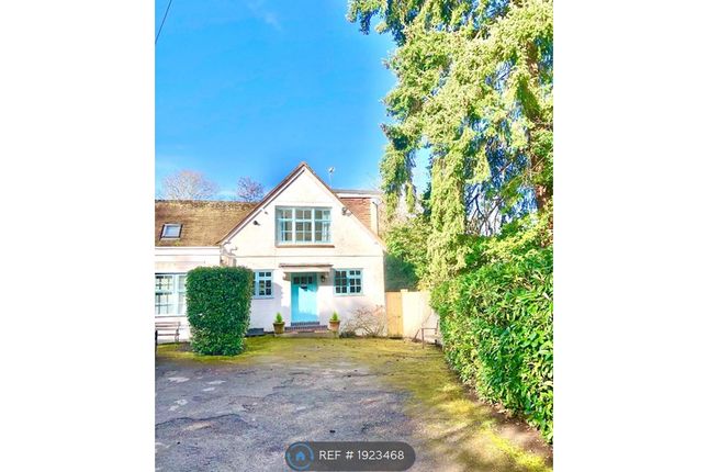 Semi-detached house to rent in Great Park Cottage, Ascot SL5