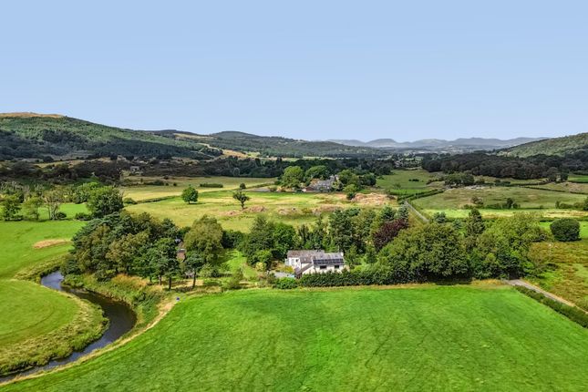 Dob Coppice, Witherslack, Grange-Over-Sands photo 3