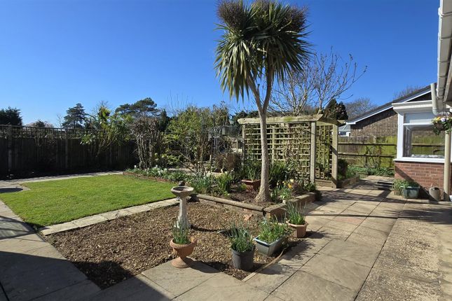 53, Woodlands, Long Sutton photo 4
