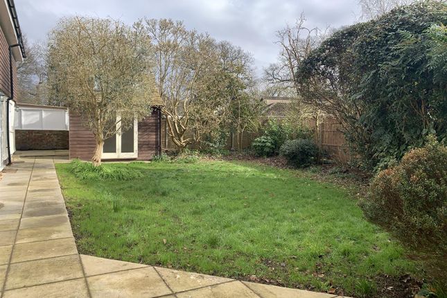 Detached house to rent in Rew Lane, Chichester