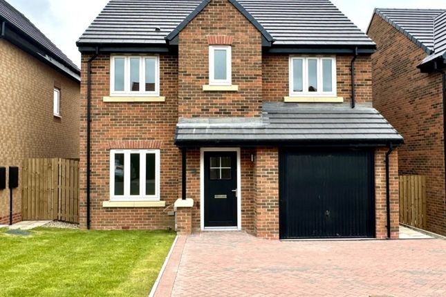 Thumbnail Detached house for sale in Cedar Way, Sunderland, Tyne And Wear
