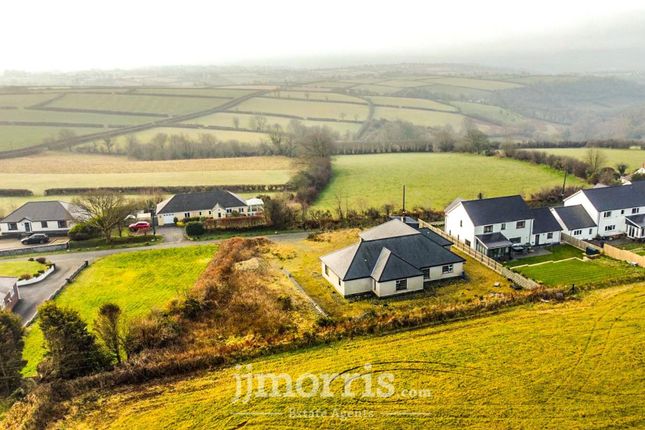 Hill View, Llandysul photo 2