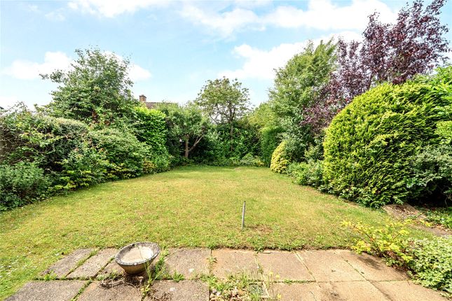 26, Maple Road, Ripley photo 4