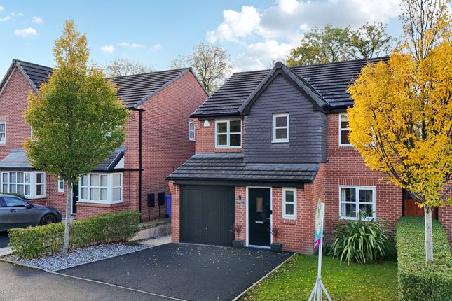 -68F8E3c9B26Cf-1372109-Jpg