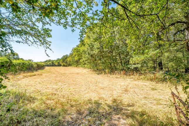 WOODSIDE FARM, Braydon SN5, Swindon photo 4