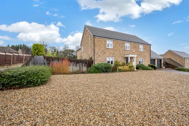 Thumbnail Detached house for sale in Shepherd Close, Exning, Newmarket
