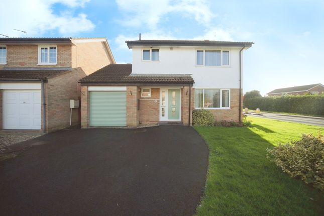 Thumbnail Detached house for sale in Heather Close, Taunton