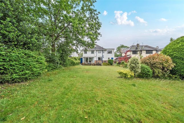 29, Mayfield Avenue, Orpington photo 4