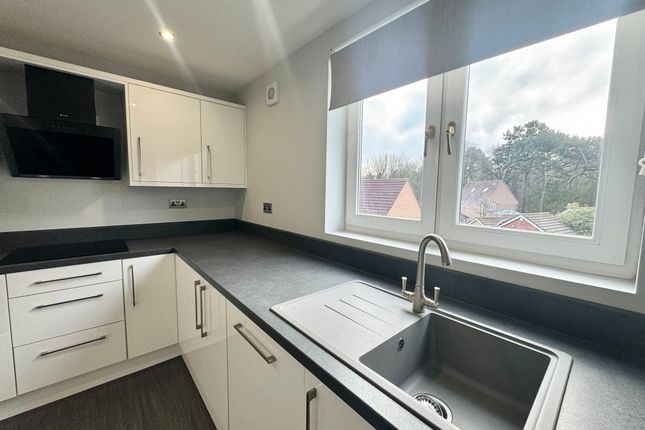 73, Sheffield photo 5