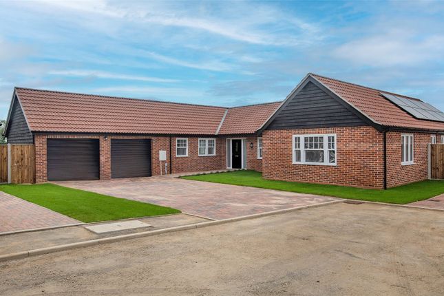 Thumbnail Bungalow for sale in High Green, Brooke, Norwich, Norfolk