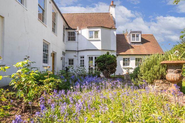 External | Garden
