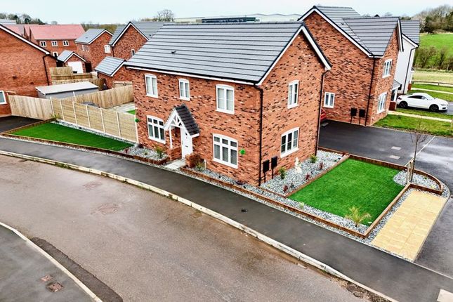 Thumbnail Detached house for sale in Marigold Place, Stafford