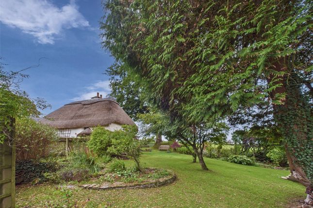 Eworthy Cottage,, Eworthy, Beaworthy photo 4