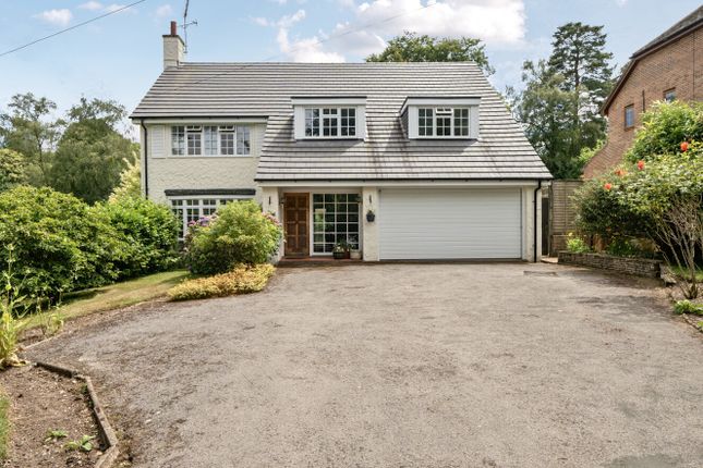 1312612-1-685E96F...