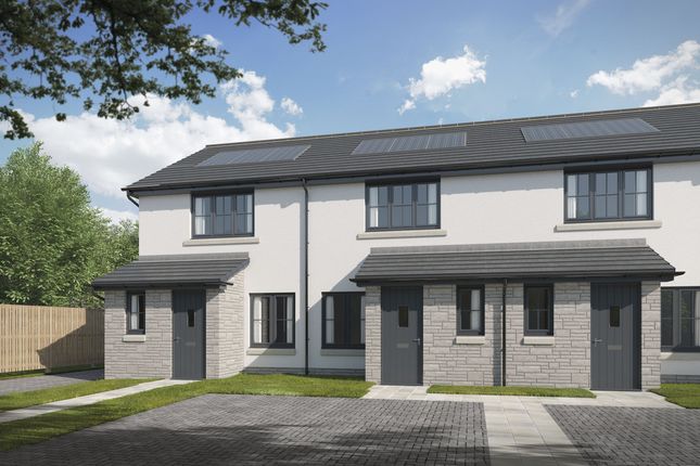 Terraced house for sale in "The Cypress" at Cadham Villas, Glenrothes
