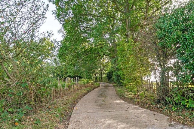 Land for sale in Burnt Lodge Lane, Ticehurst, East Sussex