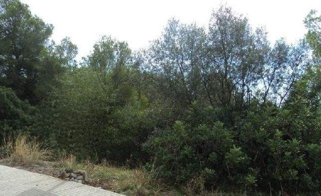Land for sale in Palma, Balearic Islands, Spain