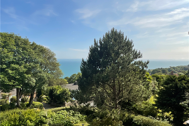 Bonchurch Shute Bonchurch, Ventnor photo 3