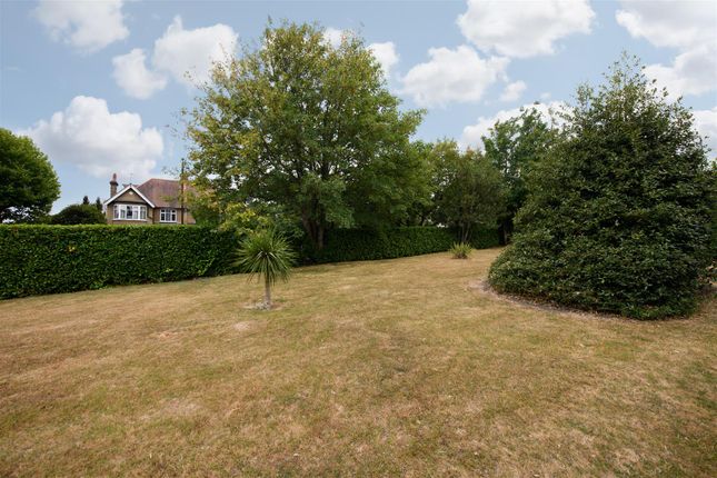 Flat 1, Trevena Court, Avenue Road, London photo 3