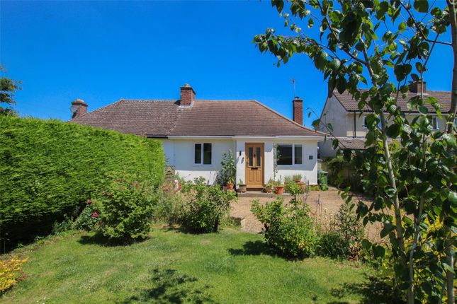Thumbnail Bungalow for sale in Ley Road, Stetchworth, Newmarket, Cambridgeshire