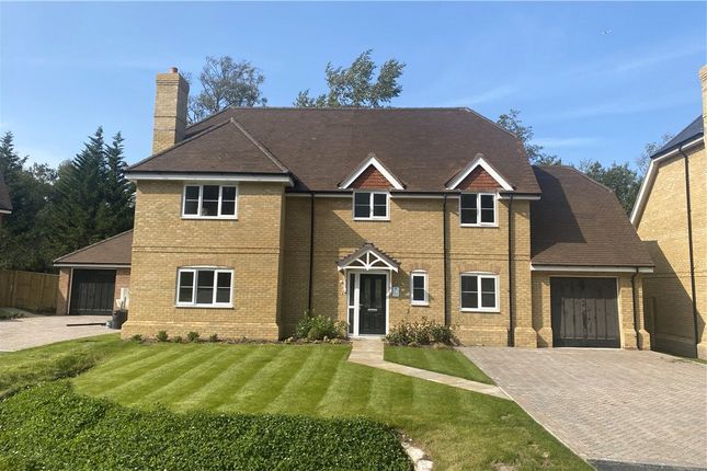 Thumbnail Detached house for sale in Long Hill Road, Ascot