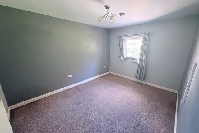 2, Marsden Mews, Nelson photo 3
