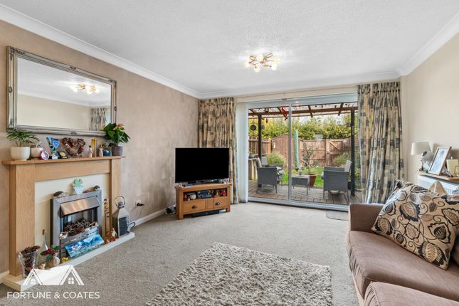 Silvesters, Harlow photo 4