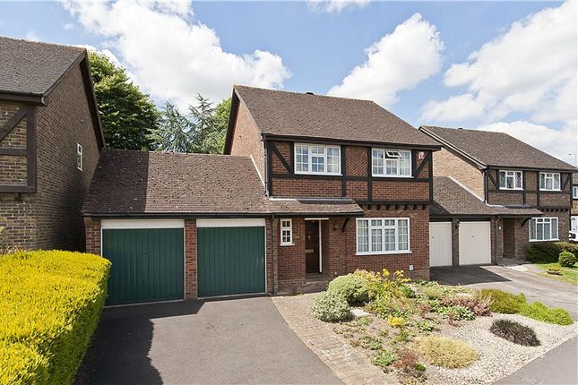 Detached house to rent in Eustace Road, Guildford, Surrey