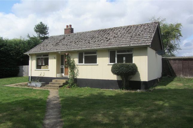 3 bed bungalow to rent in Petersfield Road, Ropley, Alresford, Hampshire SO24