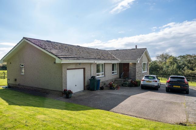 Dalmoak, Toward, Argyll and Bute photo 2