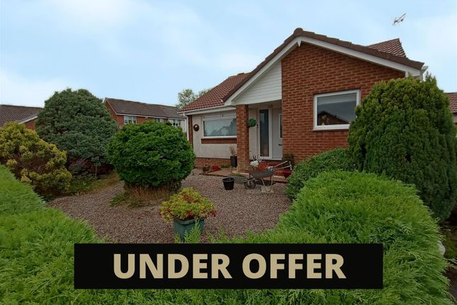 Thumbnail Detached bungalow for sale in Anne Arundel Court, Heathhall, Dumfries
