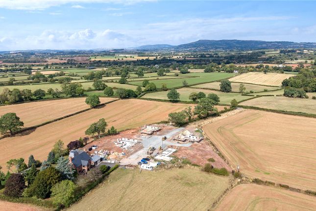 Birch View,, Brimfield, Herefordshire photo 4