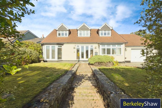 823178d4--4D95-Af43-60882E5D755A-24598-000003860F8