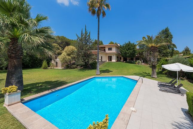 Country house for sale in Country House, Inca, Mallorca, 07300