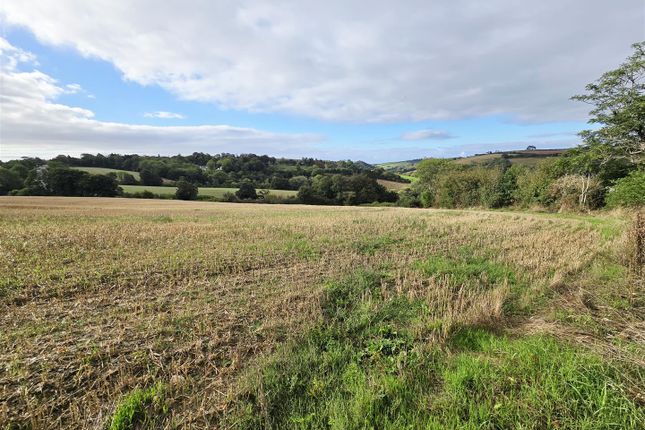 Notter Farm Bunaglow, Saltash photo 2