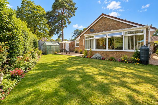 15, Coppice Close, Ringwood photo 3