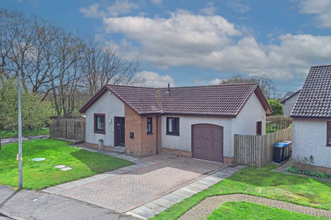 Detached bungalow for sale in St Serfs Road, Crook Of Devon, Kinross