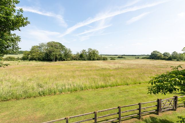 Field