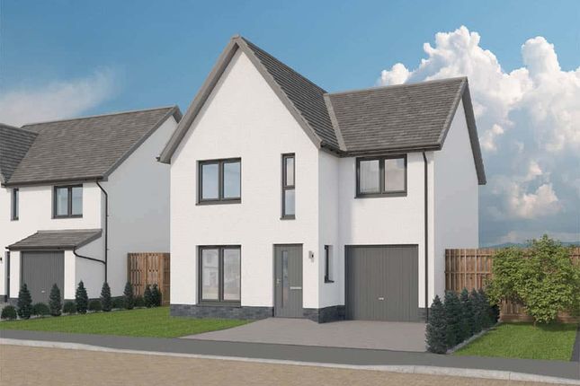 Ness Castle development image 0