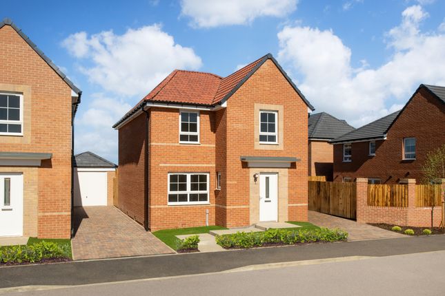 Thumbnail Detached house for sale in "Kingsley" at Buttercup Drive, Newcastle Upon Tyne