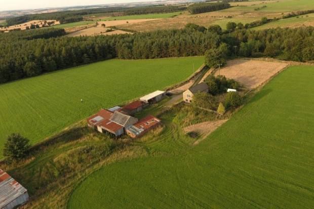 Cottage for sale in Healey Whins, Healey, Northumberland