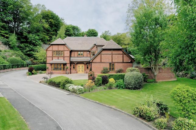 Thumbnail Detached house for sale in Mowson Hollow, Worrall, Sheffield