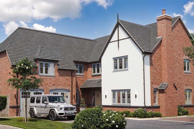 Computer Generated Image