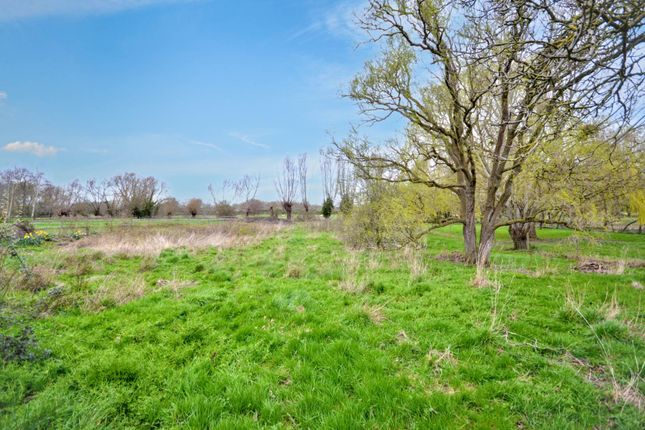 Hazel Dene, Tewkesbury photo 2