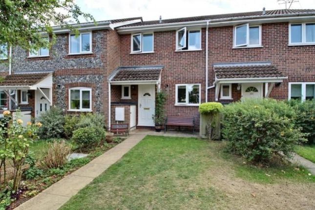 Thumbnail Terraced house to rent in Ravenscroft, Hook, Hampshire
