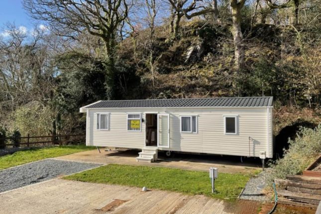 Carnaby Oakdale, Porthmadog photo 2
