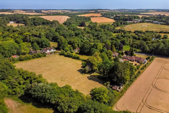 Qumari, Bullington Lane, Winchester photo 2