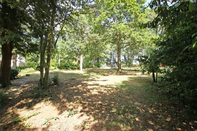 78, Sutton Spring Wood, Chesterfield photo 4