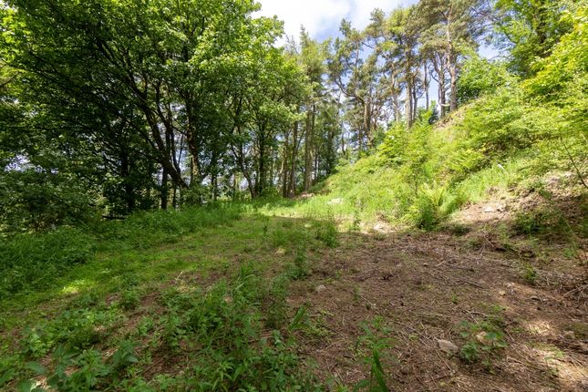 Land for sale in Whelpstone Grove, Settle